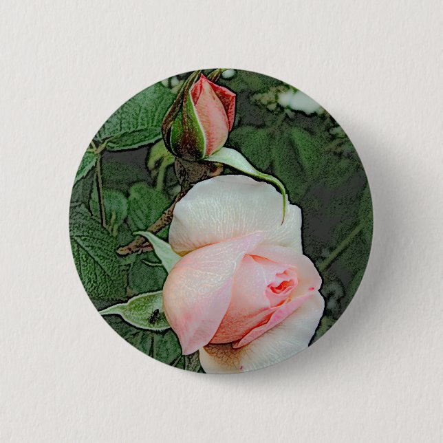 pink rose flowers pinback button (Front)