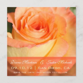 Pink Rose Flowers Save The Date by visualblueprint at Zazzle