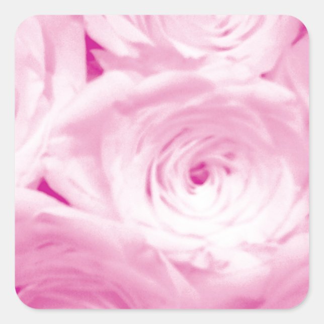 Pink rose flowers square sticker for wedding favor (Front)