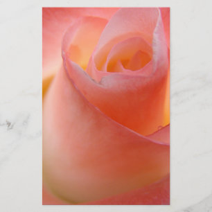 Pink Rose Flowers Stationery Floral Personalize