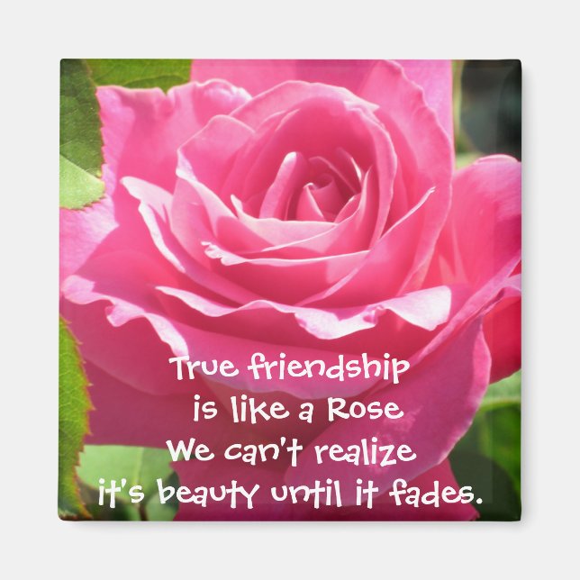 Pink Rose Friendship Magnet (Front)