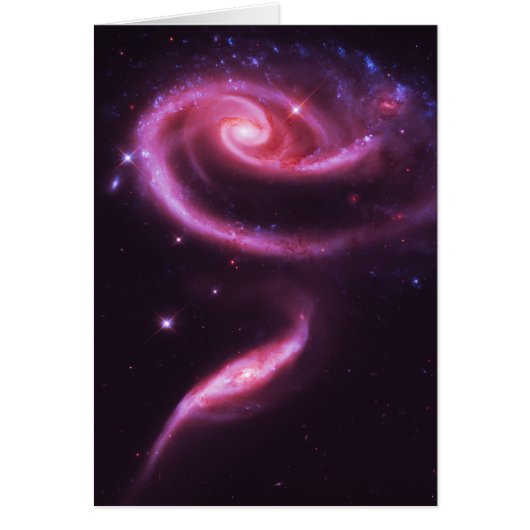 Pink Rose Galaxies Cards (Front)