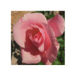 Pink Rose Garden Floral Wood Wall Art