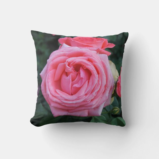 Pink Rose Garden  Throw Pillow (Front)