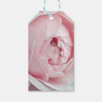 Pink Rose Gift Tag