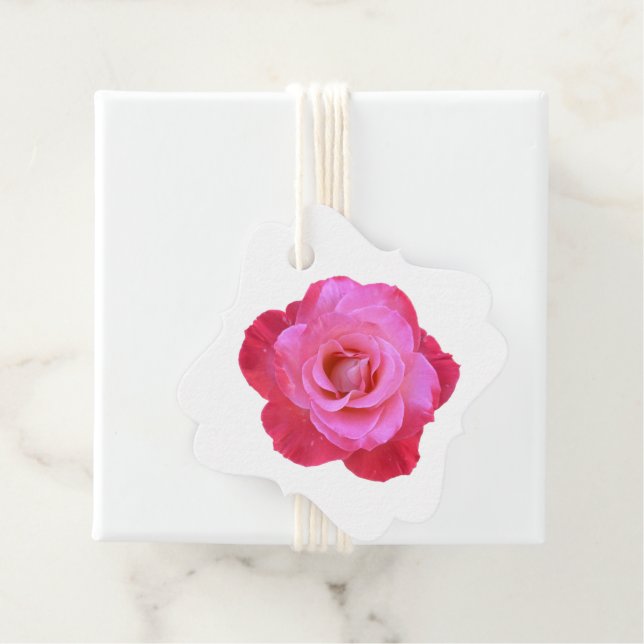 Pink Rose Gift Tag (In Situ)