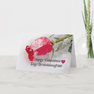 Pink Rose Granddaughter Valentine Holiday Card