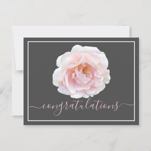 Pink Rose Gray Background Congratulations  Postcard