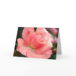 Pink Rose Greeting Card