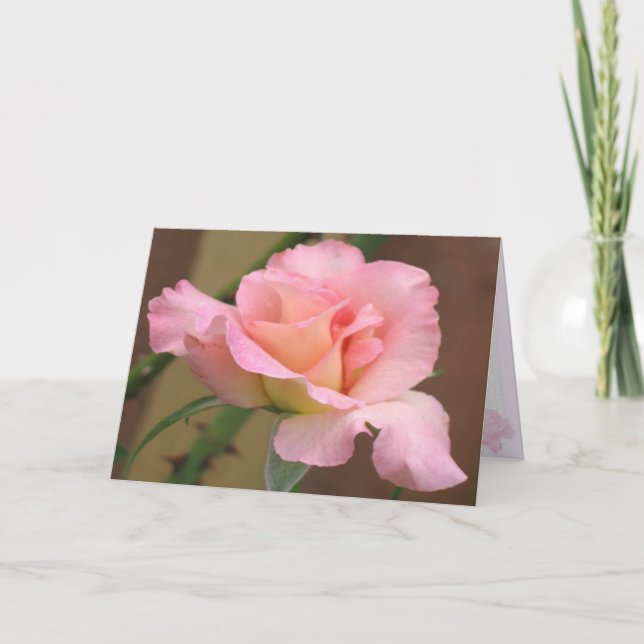 Pink Rose Greeting Card (Front)