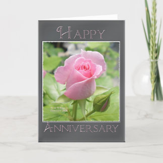 Pink Rose: Happy Anniversary Card