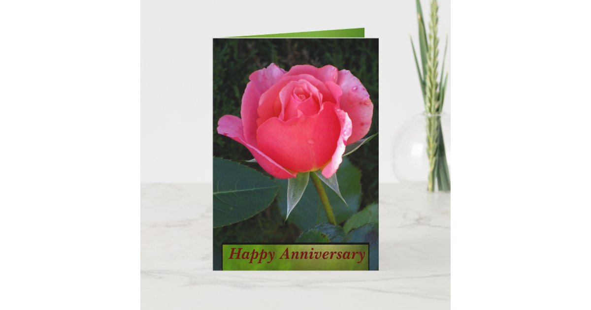 Pink Rose Happy Anniversary Card | Zazzle