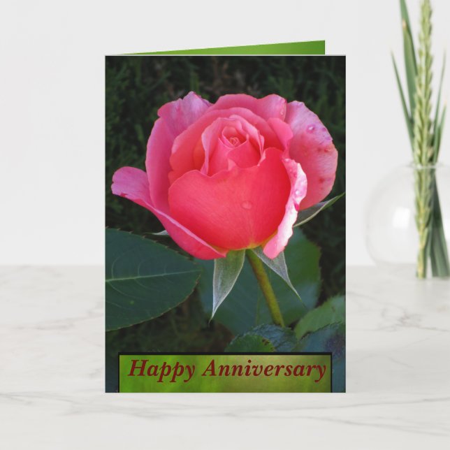 Pink Rose Happy Anniversary Card (Front)