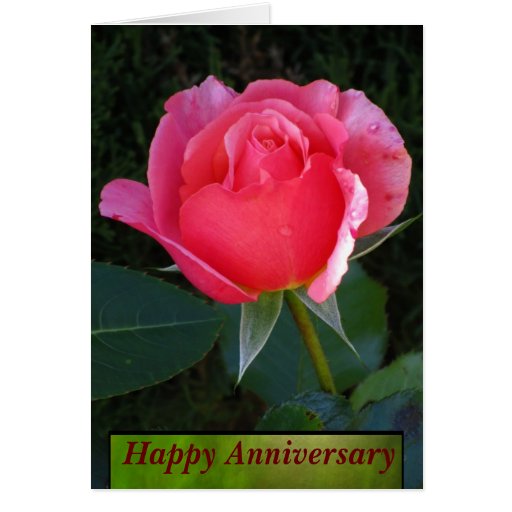 Awesome 90 Anniversary Card Rose