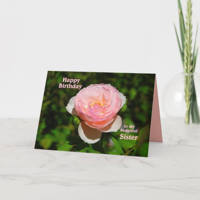Pink Rose Happy Birthday to Sister Card (Front)