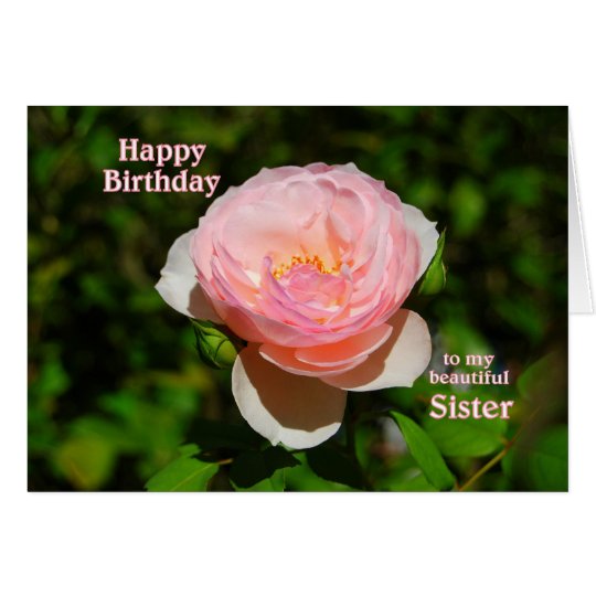 Pink Rose Happy Birthday to Sister Card Zazzle