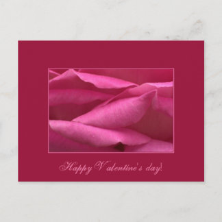 Pink rose - Happy Valentine's day Holiday Postcard