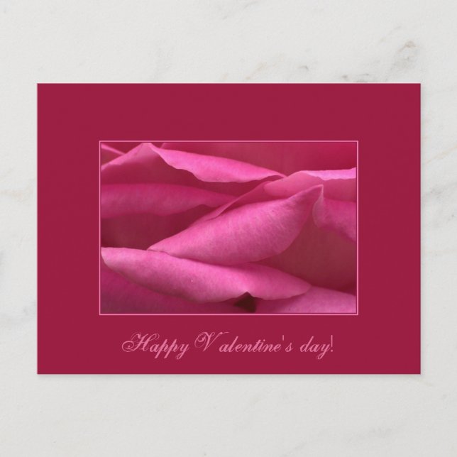 Pink rose - Happy Valentine's day Holiday Postcard (Front)
