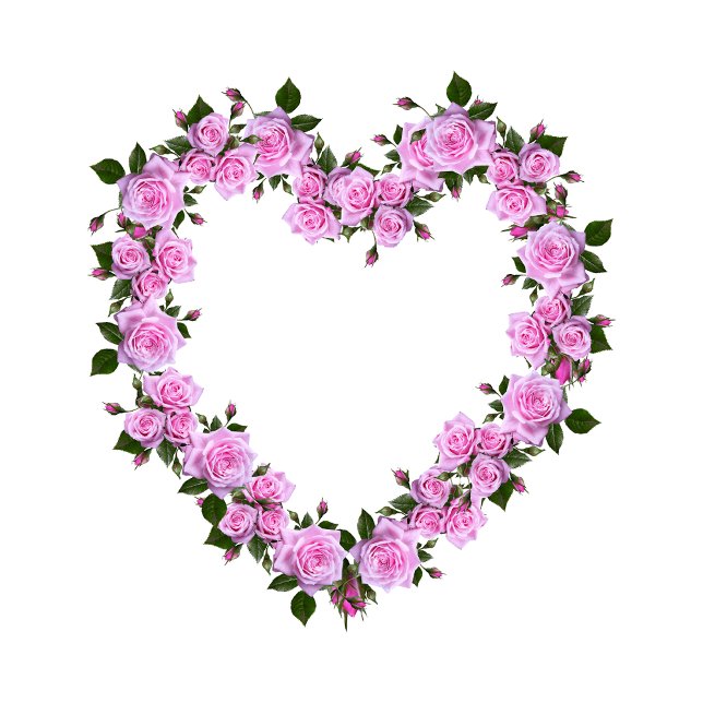 Pink Rose Heart Floral Decorative Pillow (Nice pillow
https://www.zazzle.com/pink_rose_heart_floral_decorative_pillow-256871750285314100)