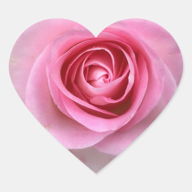 Pink Rose Heart Stickers (Front)