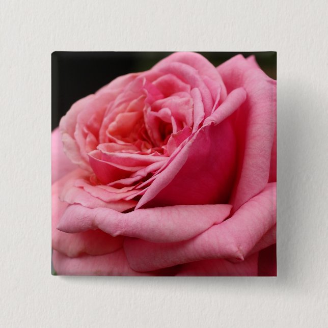 Pink Rose I Pretty Floral Photography Button (Front)