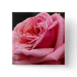 Pink Rose I Pretty Floral Photography Button