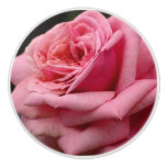 Pink Rose I Pretty Floral Photography Ceramic Knob