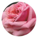Pink Rose I Pretty Floral Photography Classic Round Sticker