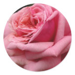 Pink Rose I Pretty Floral Photography Classic Round Sticker