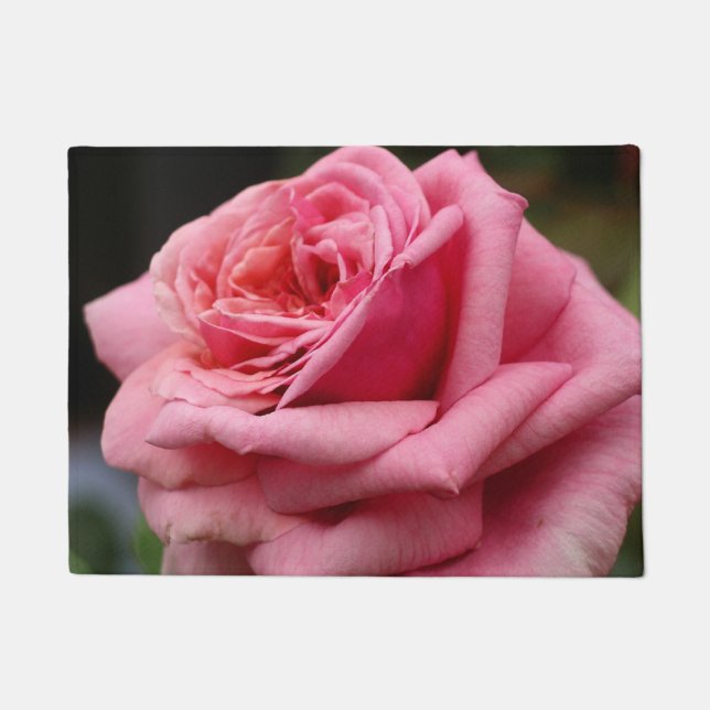 Pink Rose I Pretty Floral Photography Doormat (Front)
