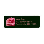 Pink Rose I Pretty Floral Photography Label