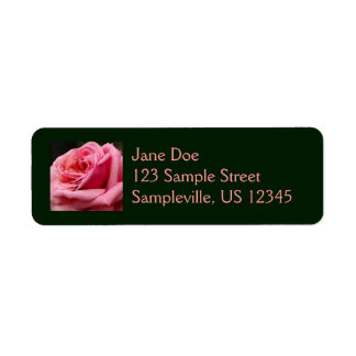 Pink Rose I Pretty Floral Photography Label