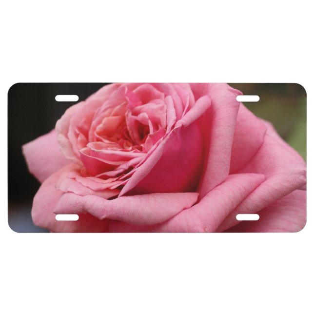 Pink Rose I Pretty Floral Photography License Plate (Front)