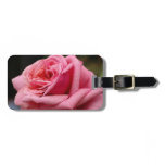 Pink Rose I Pretty Floral Photography Luggage Tag