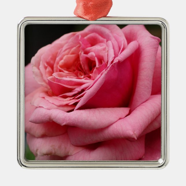 Pink Rose I Pretty Floral Photography Metal Ornament (Front)