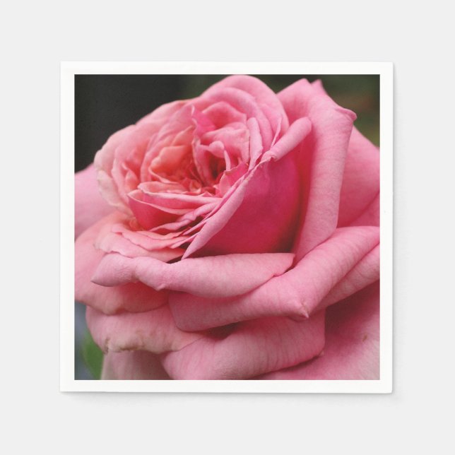 Pink Rose I Pretty Floral Photography Napkins (Front)