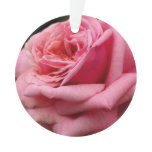 Pink Rose I Pretty Floral Photography Ornament