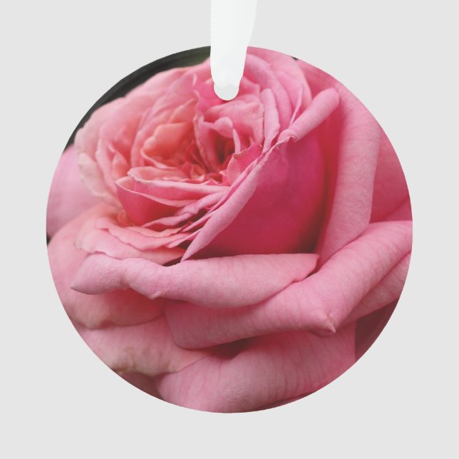 Pink Rose I Pretty Floral Photography Ornament (Front)
