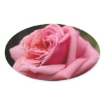 Pink Rose I Pretty Floral Photography Oval Sticker