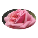 Pink Rose I Pretty Floral Photography Oval Sticker