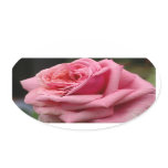 Pink Rose I Pretty Floral Photography Oval Sticker