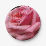 Pink Rose I Pretty Floral Photography Paper Plates