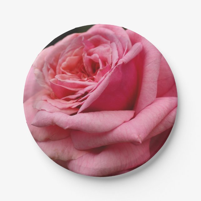 Pink Rose I Pretty Floral Photography Paper Plates (Front)