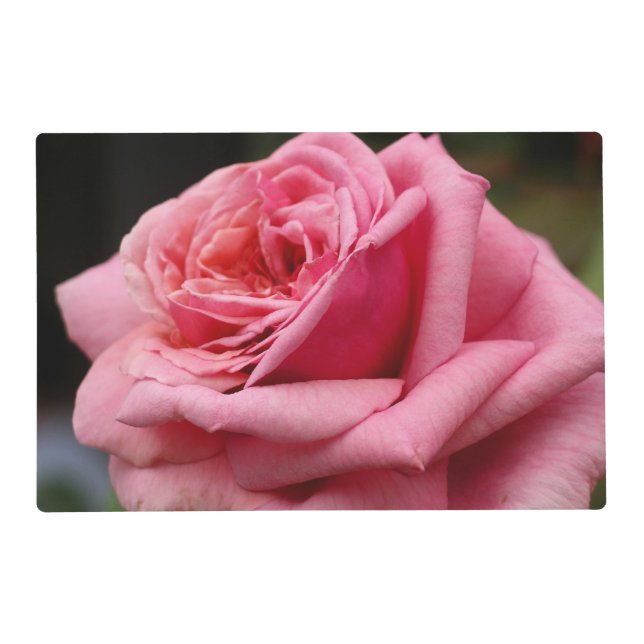 Pink Rose I Pretty Floral Photography Placemat (Front)