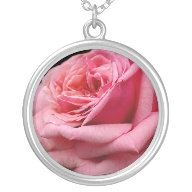 Pink Rose I Pretty Floral Photography Silver Plated Necklace (Front)