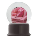 Pink Rose I Pretty Floral Photography Snow Globe
