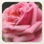 Pink Rose I Pretty Floral Photography Square Paper Coaster