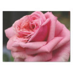 Pink Rose I Pretty Floral Photography Tissue Paper