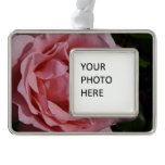 Pink Rose II Pretty Floral Christmas Ornament