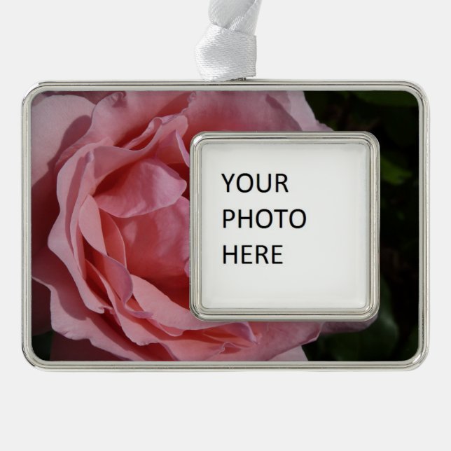 Pink Rose II Pretty Floral Christmas Ornament (Front)